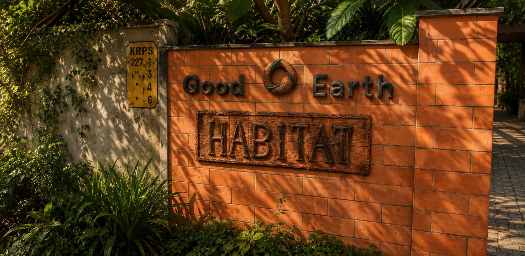 Co-Founder of Good Earth